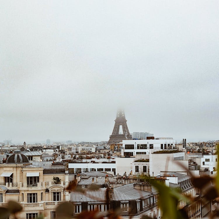 Praga y Viena: Street Art en las Capitales Imperiales de Europa Central