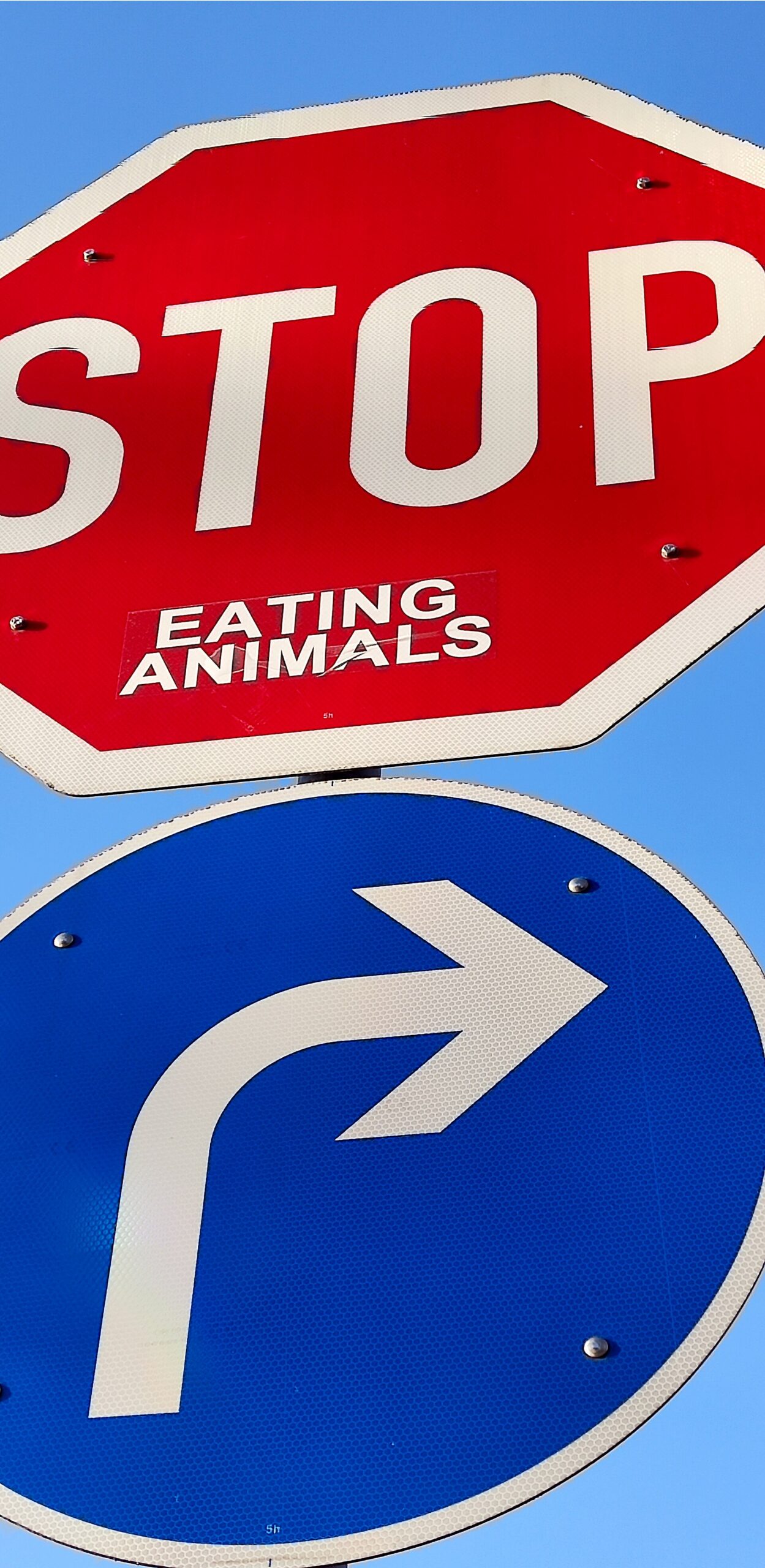 traffic sign sticker art